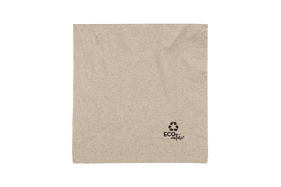 Servilletas Eco Nature 2c 30x30 100 uds