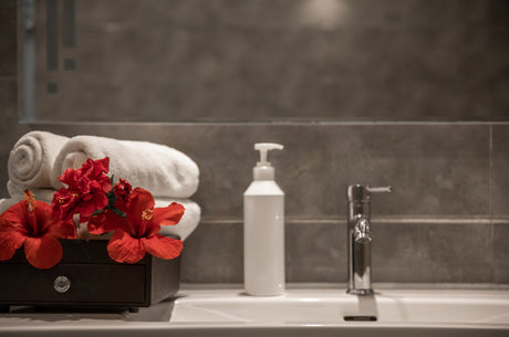 Hoteles y Alojamientos