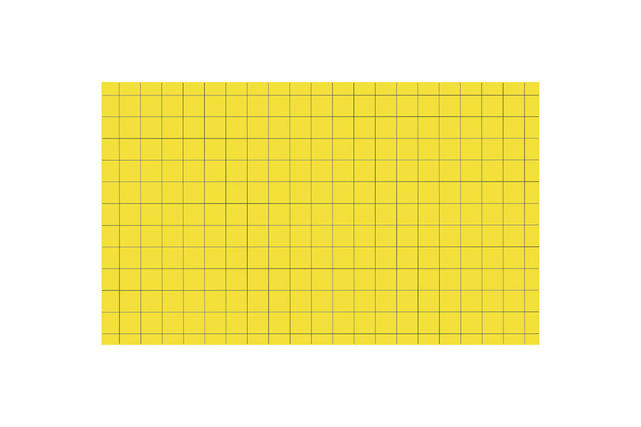 Adhesivo matainsectos 390x300mm, 6uds