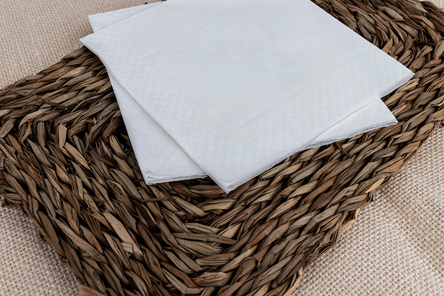 Servilletas Blanco 2capas 33x33 100uds