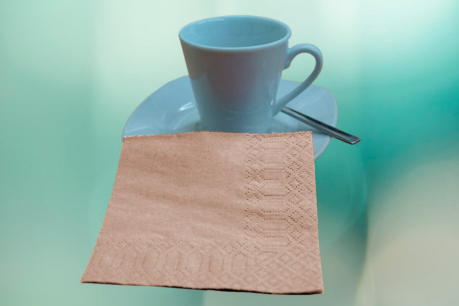 Servilletas 20x20 Cenefa 100ud Eco Nature